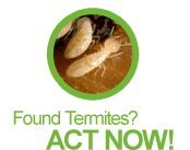 Found Temits Act Now