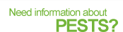 Need Pest Information